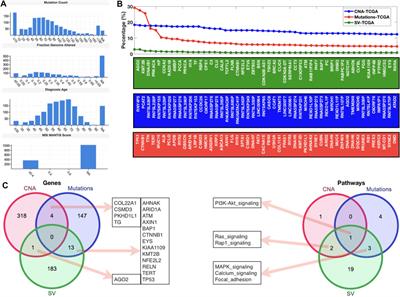 Genomic profiling and network-level understanding uncover the potential genes and the pathways in hepatocellular carcinoma